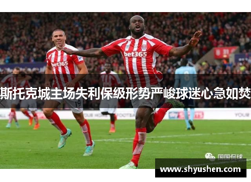 斯托克城主场失利保级形势严峻球迷心急如焚