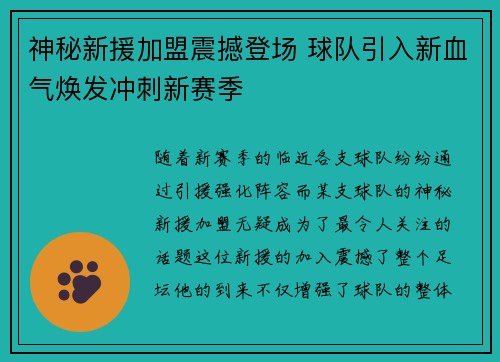 神秘新援加盟震撼登场 球队引入新血气焕发冲刺新赛季