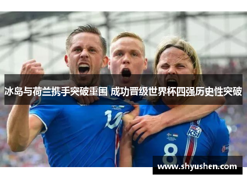 冰岛与荷兰携手突破重围 成功晋级世界杯四强历史性突破